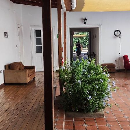 Scorpius Hostel Vicuña 外观 照片