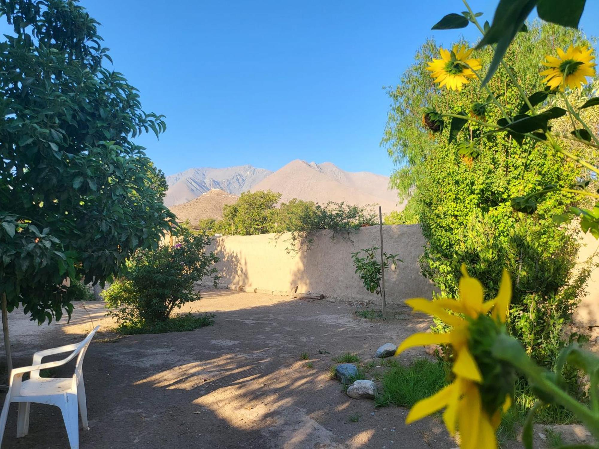 Scorpius Hostel Vicuña 外观 照片